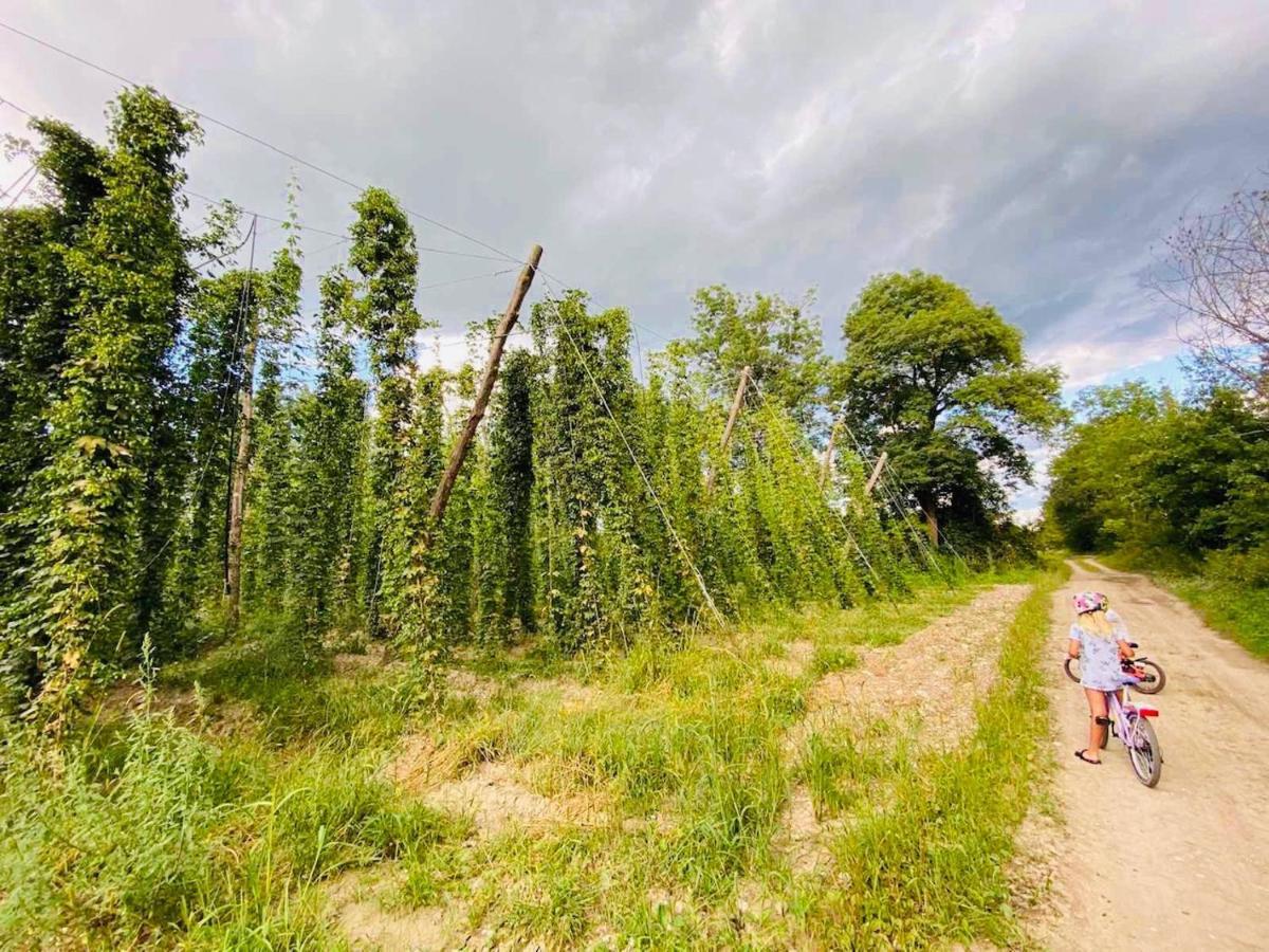 Greenvalleyglamping Sesce Pri Preboldu Kültér fotó