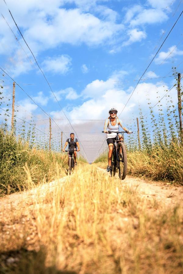 Greenvalleyglamping Sesce Pri Preboldu Kültér fotó