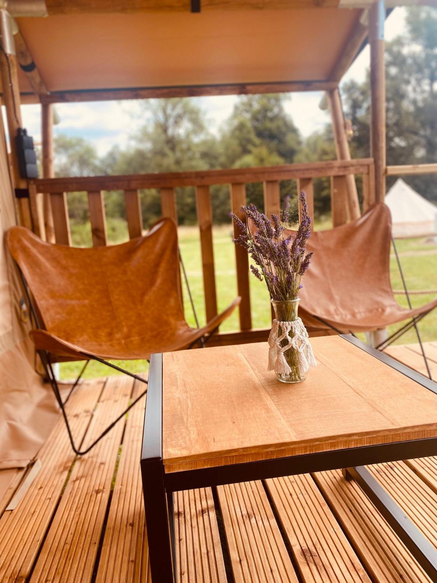 Greenvalleyglamping Sesce Pri Preboldu Kültér fotó