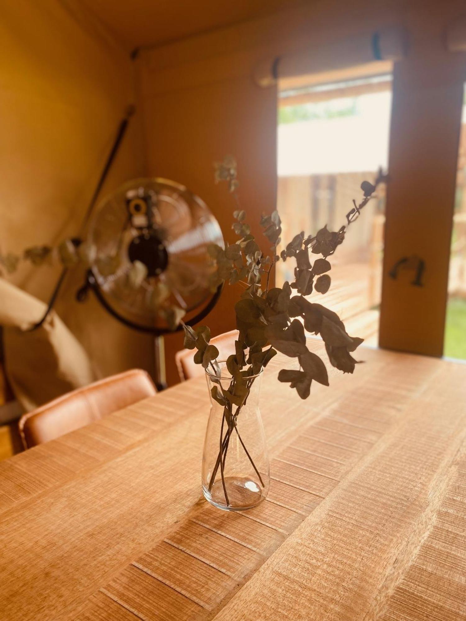 Greenvalleyglamping Sesce Pri Preboldu Kültér fotó