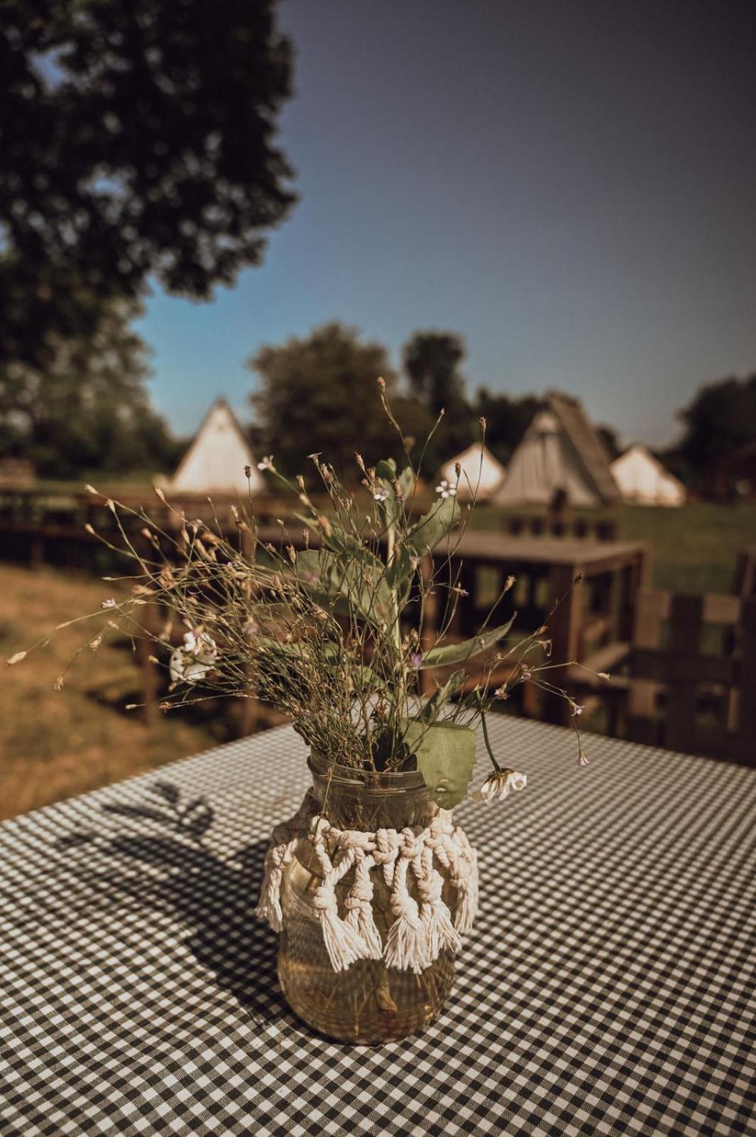 Greenvalleyglamping Sesce Pri Preboldu Kültér fotó